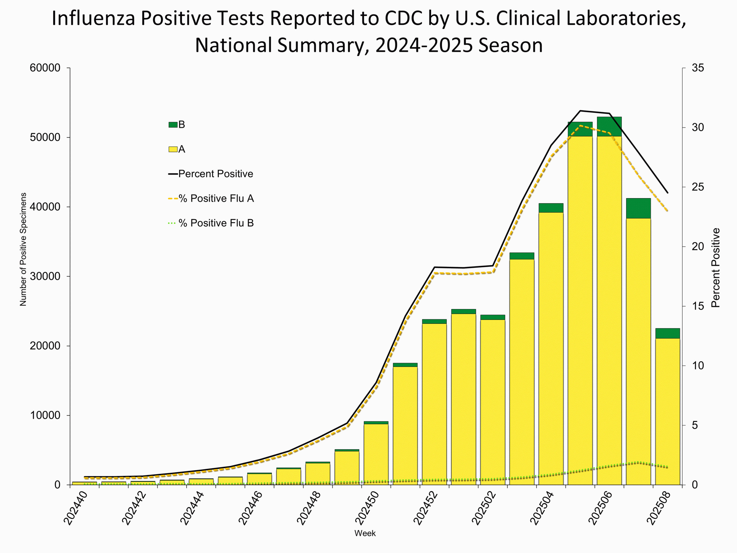 WHONPHL08 Influenza Positive Tests Reported to CDC by Clinical Laboratories, National Summary, 2024-25 Season, week ending Feb. 22, 2025
