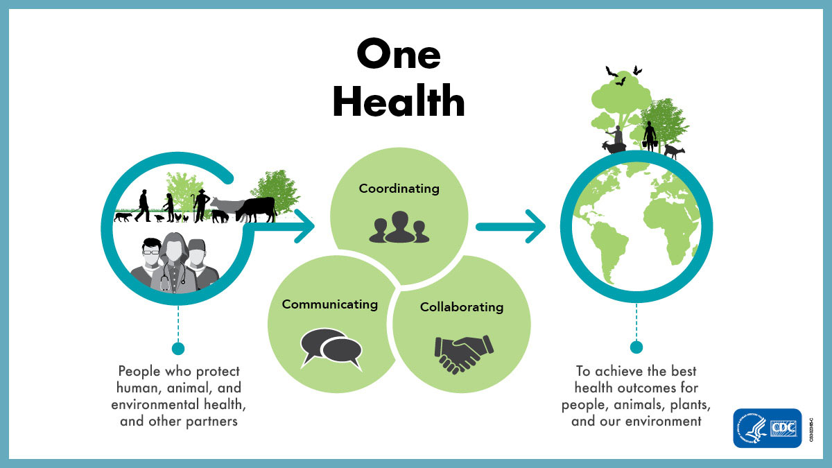 A graphic showing the importance of collaboration, communication, and coordination in One Health. Text reads: People who protect human, animal, and environmental health, and other partners coordinate, collaborate, and communicate to achieve the best health outcomes for people, animals, plants, and our environment.